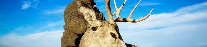 Guided Mule Deer Hunt